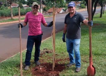VERA CRUZ DO OESTE REALIZA PLANTIO DE ARVORES