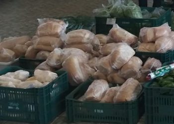 A ASSOCIAÇÃO DOS AGRICULTORES FAMILIARES DE VERA CRUZ DO OESTE INICIA ENTREGA DE ALIMENTOS