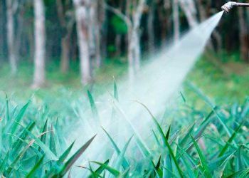 CAPINA QUÍMICA VIGILÂNCIA SANITÁRIA COMUNICA