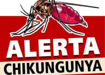ALERTA CHIKUNGUNYA