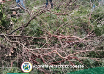 AVISO DE CHUVAS INTENSAS, RAIOS E VENDAVAL PARA A REGIÃO