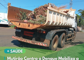 🌡🦟 DIA D DE COMBATE À DENGUE – VERA CRUZ DO OESTE 🦟🌡
